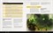 Fallout: The Roleplaying Game - Royal Flush Quest Book MUH0580239