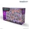 STARCRAFT TMG ZERGLING - ZERG - EXPANSION SET SCMG0008 - фото 201224