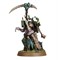 Maggotkin of Nurgle Spearhead Bubonic Cell Warhammer Age of Sigmar 70-838 - фото 201910