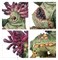 Maggotkin of Nurgle Spearhead Bubonic Cell Warhammer Age of Sigmar 70-838 - фото 201914