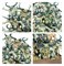 Maggotkin of Nurgle Spearhead Bubonic Cell Warhammer Age of Sigmar 70-838 - фото 201918