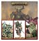 Maggotkin of Nurgle Spearhead Bubonic Cell Warhammer Age of Sigmar 70-838 - фото 201919