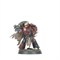 Red Corsairs: Lords Of The Maelstrom Warhammer 40000 43-108 - фото 203261