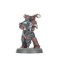 Red Corsairs: Lords Of The Maelstrom Warhammer 40000 43-108 - фото 203268