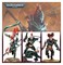 The Maelstrom Battalion: Drukhari Warhammer 40000 45-27 - фото 203404