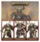 Maggotkin Of Nurgle: Rotswords Warhammer Age of Sigmar 83-113