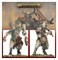 Maggotkin Of Nurgle: Pestigors Warhammer Age of Sigmar 83-116 - фото 203622