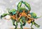 Weaver Courts : Reaper's Bloom 2000pt Army PBW6158