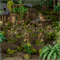 Island Assault - Starter Set (English) 2026 401510008 - фото 205537