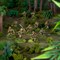 Japanese Army Infantry Platoon 402016003 - фото 205561