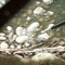 Гель для имитации воды для диорам AK Interactive Water Gel Effects, водные эффекты, 100 мл, AK8007 AK8007