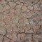 Смесь для создания эффектов AK Wet Crackle Effects 100ml AK8034 AK8034