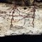 Текстурная паста для диорам AK Interactive Terrains Dry Ground, сухая земля, 250 мл, AK8015 AK8015