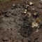 Текстурная паста для диорам AK Interactive Terrains Muddy Ground, грязь, 250 мл, AK8017 AK8017