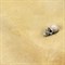 Текстурная паста для диорам AK Interactive Terrains Desert Sand, пустынный песок, 250 мл, AK8020 AK8020