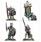 Ossiarch Bonereapers: Null Myriad Phalanx Warhammer Age of Sigmar 94-15