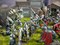 Conquest Spires: Conquest First Blood New Edition Warband PBW6130
