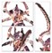 Tyranids Battleforce: Tyranid Swarm Warhammer 40000 51-36