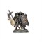 Chaos Warriors Warhammer Age of Sigmar 08-21
