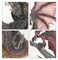 Lord on Chaos Dragon Warhammer Age of Sigmar 08-19