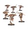 CUSTODES: VENATARI SODALITY 77-05