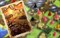 Настольная игра Королевство Кроликов (Bunny Kingdom) GG131 - фото 84120